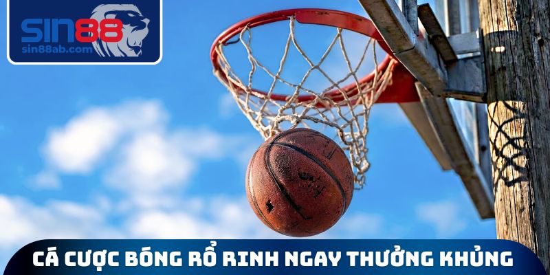 Cá cược bóng rổ rinh ngay thưởng khủng