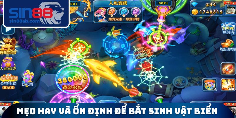 Mẹo hay và ổn định để bắt sinh vật biển